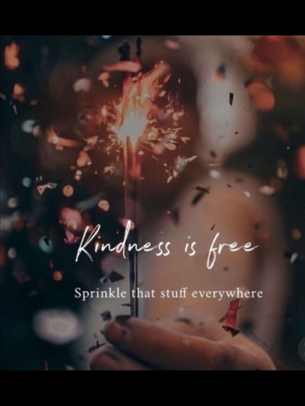 Becca Swimsuit 🍓🐠with Multicolor Trimo - Picture 9 of 9